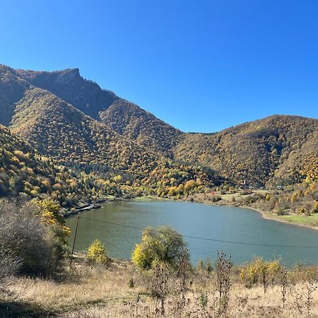 Gvirilas Sakhli Guest House Khashuri Екстер'єр фото